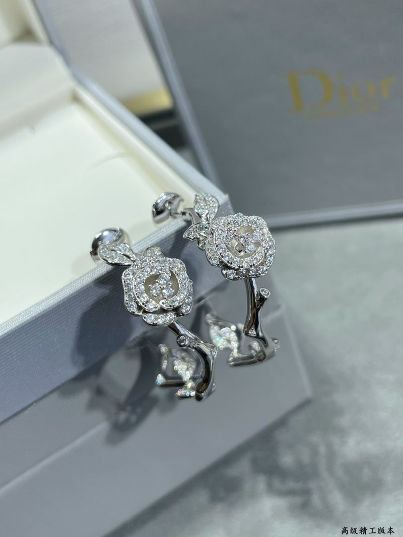 Christian Dior Earrings